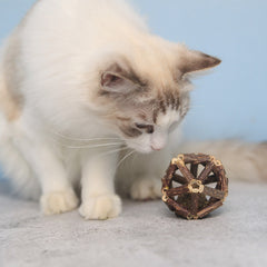 Handmade Cat Toys Ball Matatabi Sticks Cat Toys Catnip Ball Organic Natural