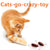 Battery-Powered Cockroach & Mouse Toy For Cats, Electronic Cockroach