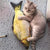 Fish Shape Cat Toy Interactive Gifts Fish Catnip Toys Stuffed Pillow Doll Fish Playing Toy