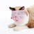 Multifunctional Anti Bite Cat Muzzle Breathable Mesh Cat Travel Tool Bath Beauty Grooming