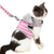 Vest Style Cat Traction Rope Belt Vest Harness Walking