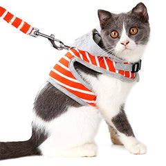 Vest Style Cat Traction Rope Belt Vest Harness Walking