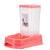 Petshy Pet Automatic Feeder Cat Food Bowl Removable Plastic Kitten Puppy