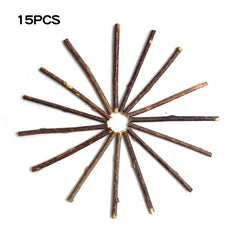 Natural Catnip Pet Cat Molar Toothpaste Stick Matatabi Actinidia Fruit Silvervine Cat