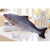 Pet Soft Plush 3D Fish Shape Cat Toy Interactive Gifts Fish Catnip Toys Stuffed